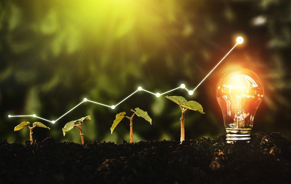 Green Initiative